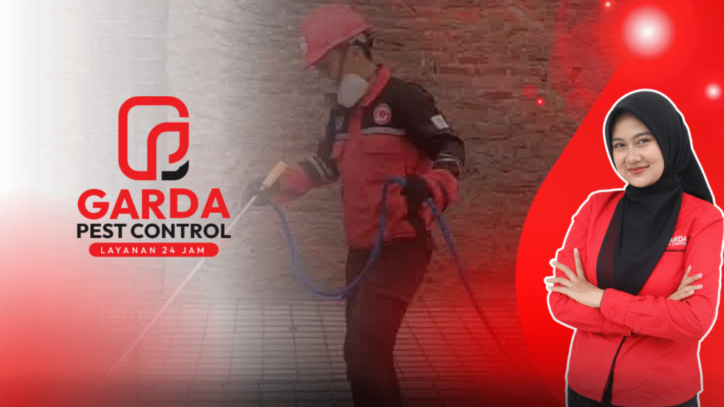 Jasa Anti Rayap Bali Bergaransi Resmi 5 Tahun