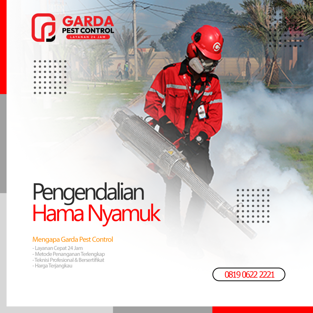 Jasa Fogging Nyamuk di Denpasar & Badung - Layanan 24 Jam