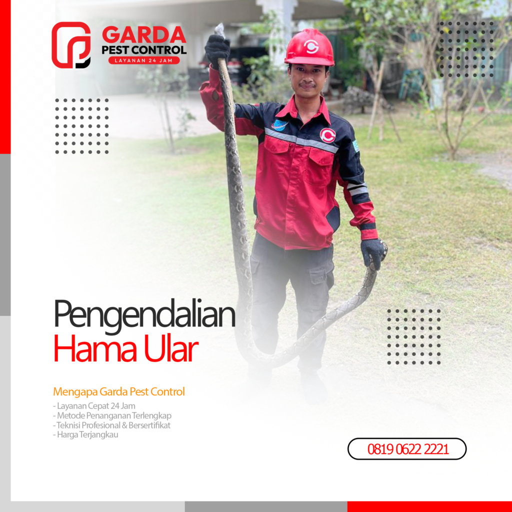 Jasa Pembasmi Ular di Bali Integrated Pest Management