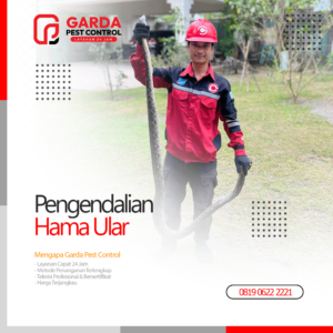 Jasa Pembasmi Ular di Bali Integrated Pest Management