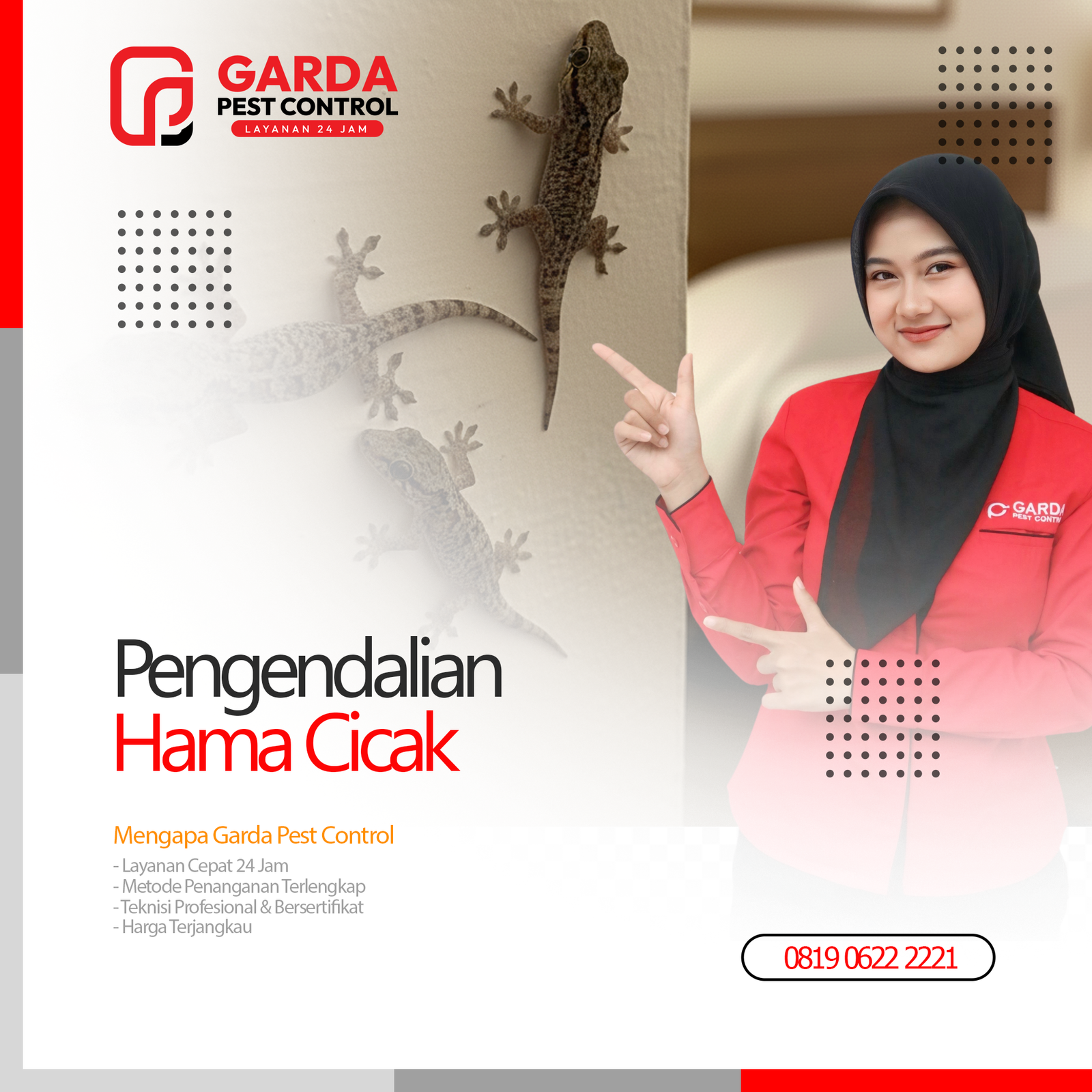 Jasa Pembasmi Cicak dan Tokek di Bali Terpercaya