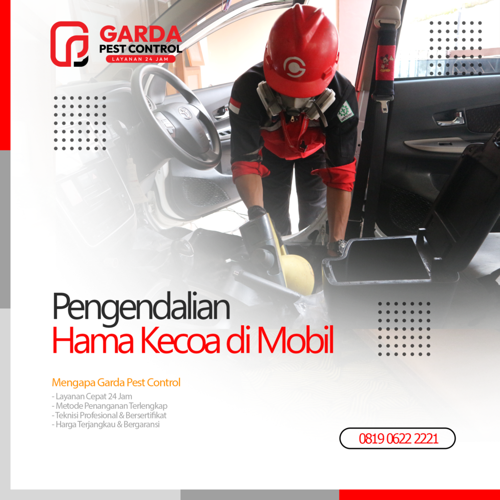 Jasa Pembasmi Kecoa Mobil di Bali Hingga Tuntas Bergaransi