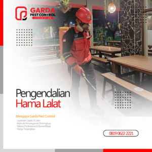 Jasa Pembasmi Lalat Terdekat di Bali Garda Pest Control