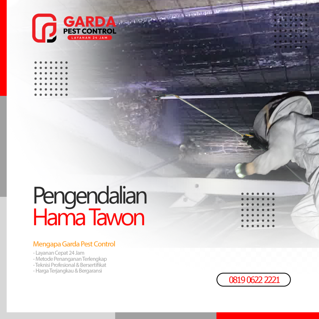 Jasa Pembasmi Sarang Tawon di Bali Profesional Layanan 24 Jam