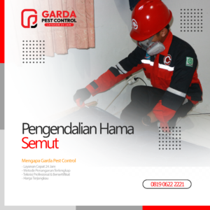 Jasa Pembasmi Semut Terdekat di Bali Garda Pest Control
