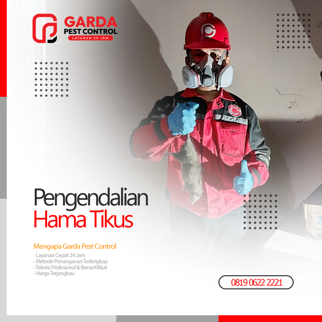 Jasa Pembasmi Tikus di Bali Harga Paling Terjangkau