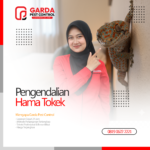 Jasa Pembasmi Tokek di Bali Panggilan Cepat 24 Jam