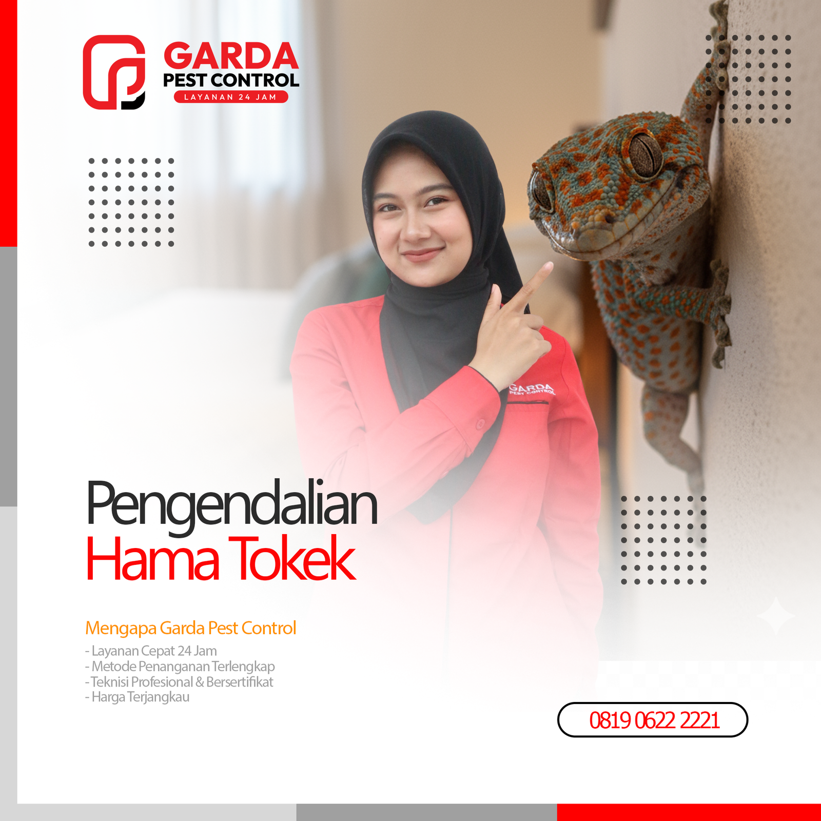 Jasa Pembasmi Tokek di Bali Panggilan Cepat 24 Jam