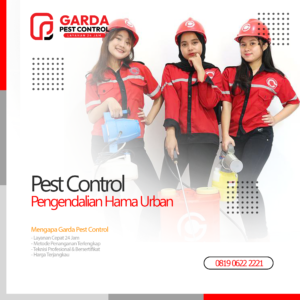 Jasa Pest Control Terdekat Pembasmi Hama Urban di Denpasar Bali