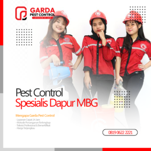 Pest Control Untuk Dapur MBG di Denpasar Bali