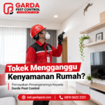Jasa Pembasmi Tokek di Bali Panggilan Cepat 24 Jam