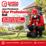 Jasa Pembasmi Ular di Bali Integrated Pest Management