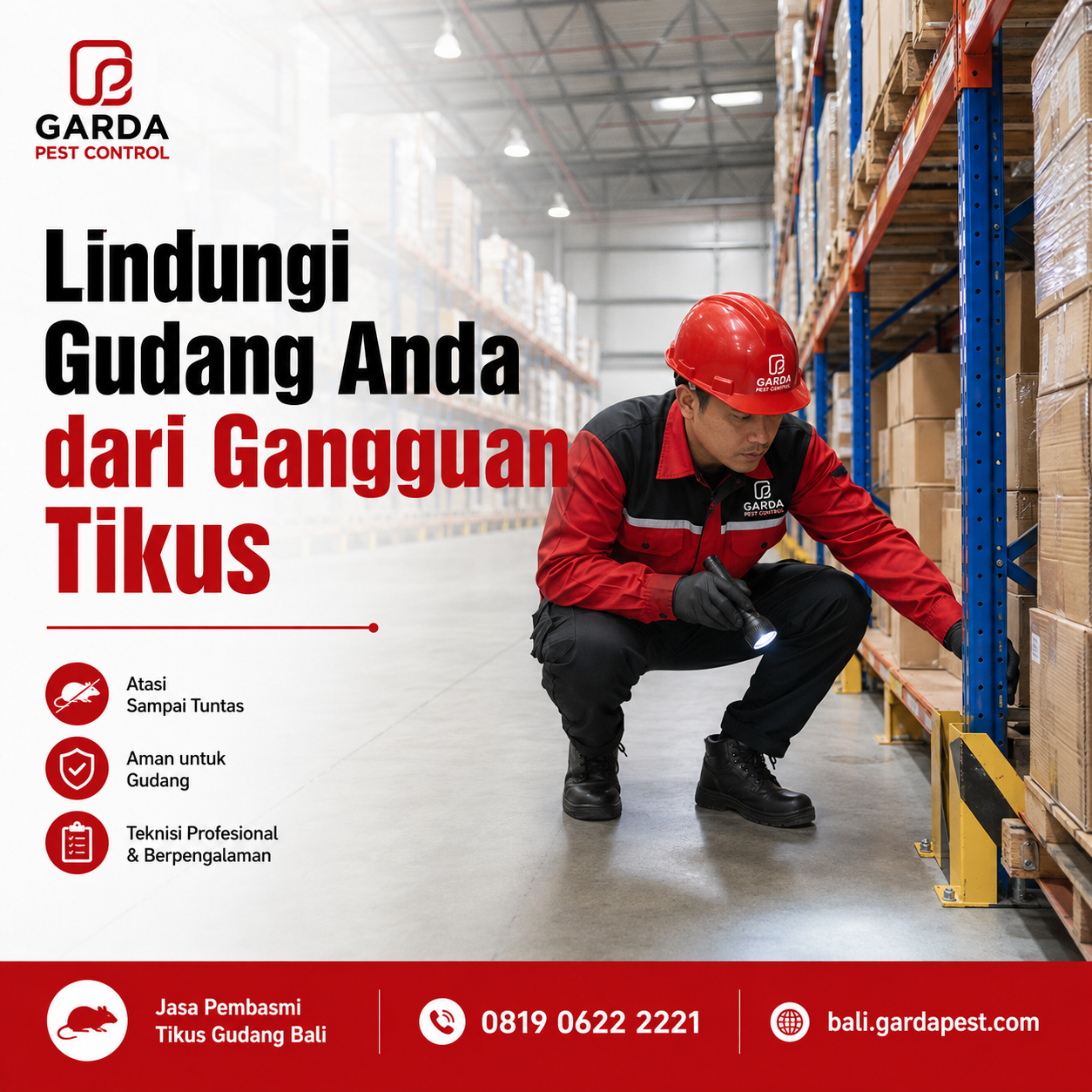 Estimasi Harga Jasa Pembasmi Tikus di Bali dan Rincian Biaya Terbaru