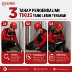 Cara Mencegah Tikus Datang Kembali Setelah Pest Control di Bali: Panduan Lengkap agar Bangunan Bebas Tikus