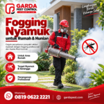 Rincian Biaya Pest Control Rumah dan Villa di Bali Menurut Standar Layanan