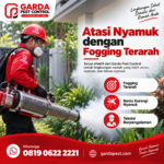 Jasa Fogging Nyamuk di Denpasar & Badung - Layanan 24 Jam